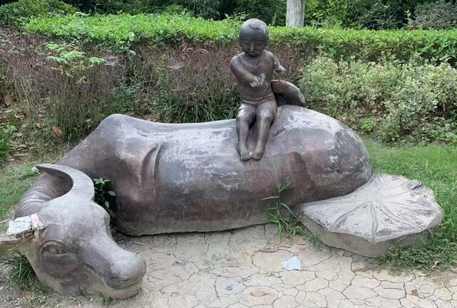 牛大力的功效与作用