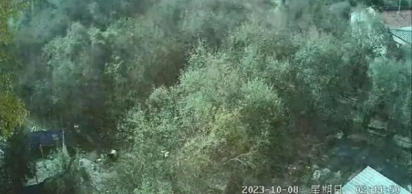 青海门源县夜间天空亮如白昼